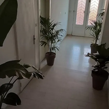 Apartment, Apartment